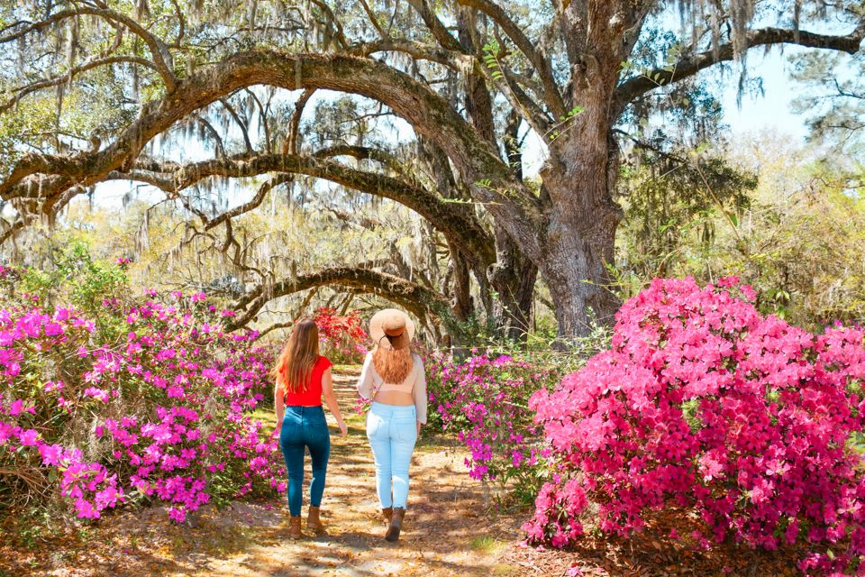 Charleston: Magnolia Plantation Entry & Tour With Transport - Cancellation Policy