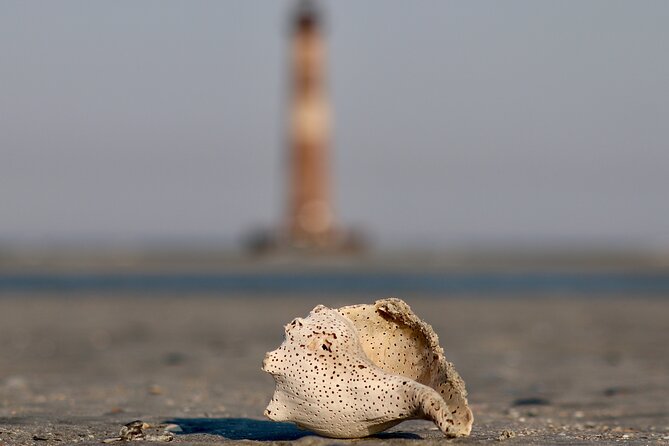 Charleston Marsh Eco Boat Cruise With Stop at Morris Island Lighthouse - Accessibility Information