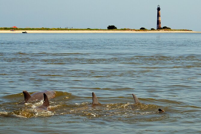 Charleston Marsh Eco Boat Cruise With Stop at Morris Island Lighthouse - Recap