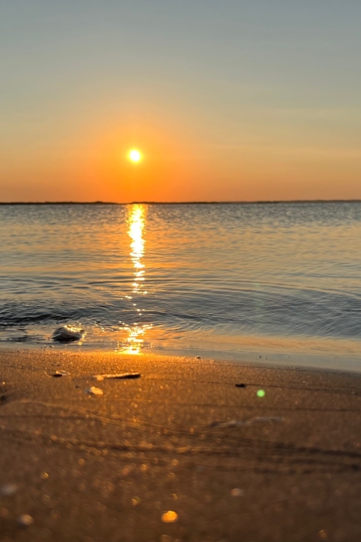 Charleston: Morris Island Dolphin Cruise With Beachcombing - Inclusions