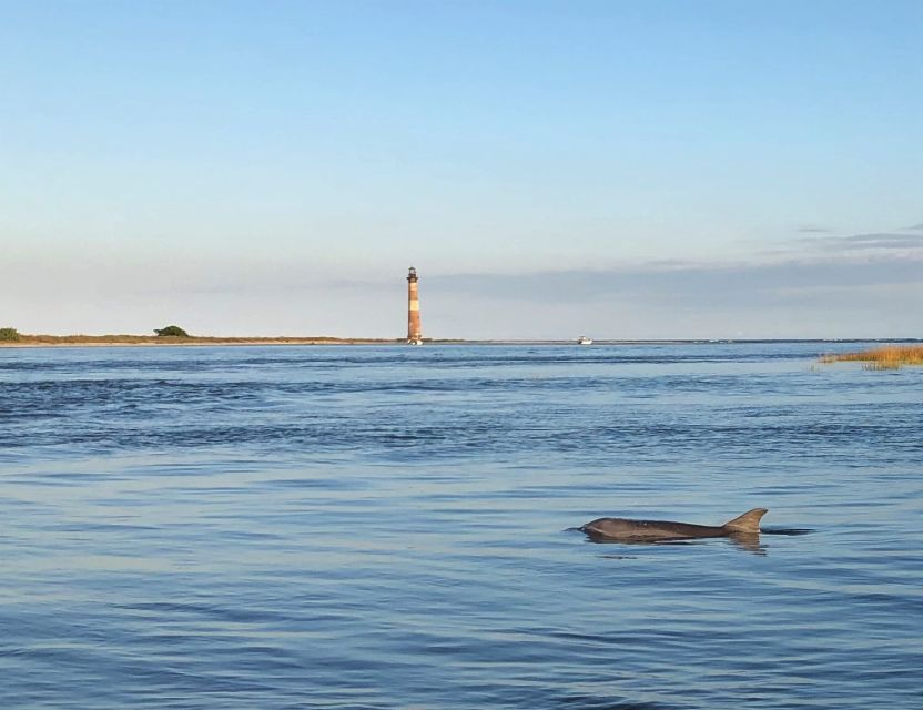Charleston: Morris Island Dolphin Cruise With Beachcombing - What to Expect