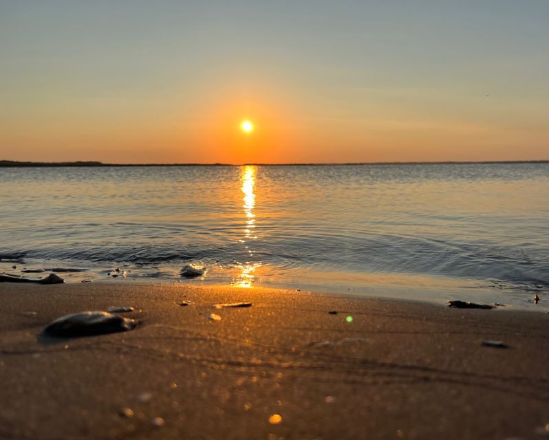 Charleston: Morris Island Dolphin Cruise With Beachcombing - Recap