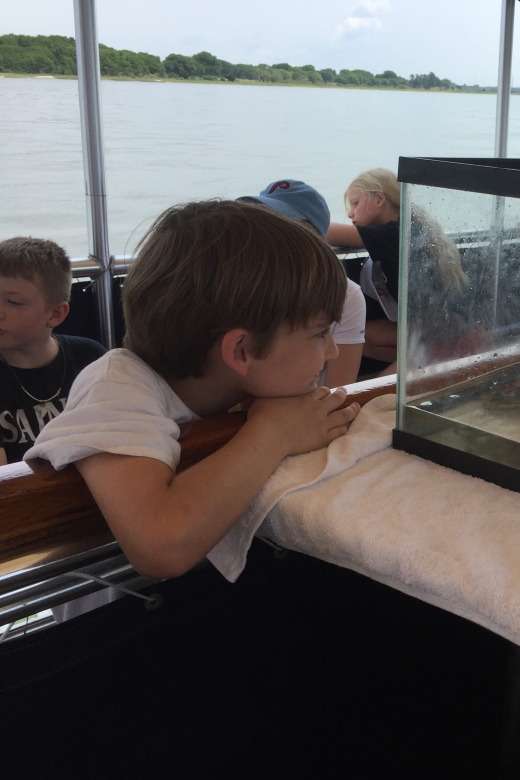 Charleston: Morris Island Nature Boat Tour With Naturalist - Discovering Coastal Wildlife on Tour