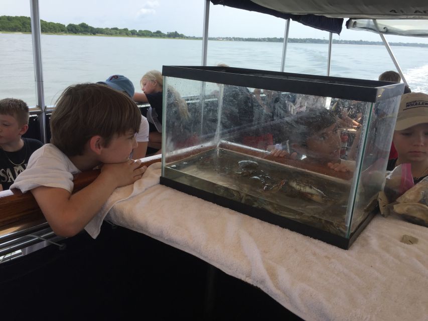 Charleston: Morris Island Nature Boat Tour With Naturalist - Naturalist-Led Commentary and Insights