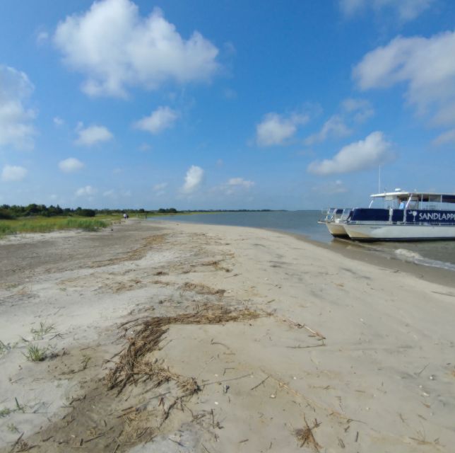 Charleston: Morris Island Nature Boat Tour With Naturalist - Frequently Asked Questions