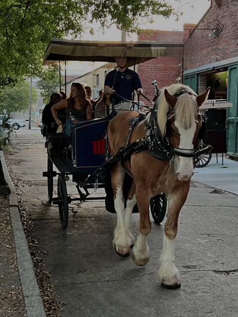 Charleston, SC: Private Evening Horse & Carriage Tour - FAQ