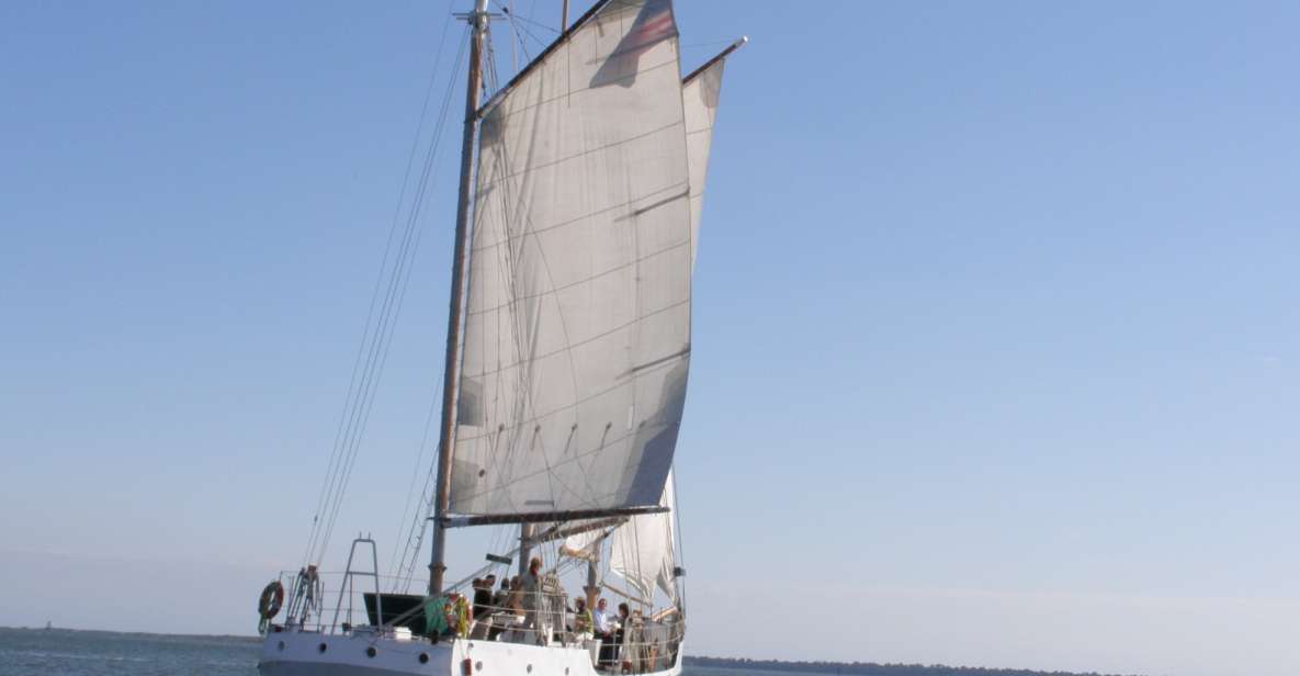 Charleston: Schooner Sailing Harbor Tour & Dolphin Watch - Included in the Tour