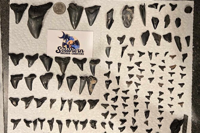 Charleston Shark Tooth and Fossil Searching Island Drop off - Meeting Point and Pickup Instructions