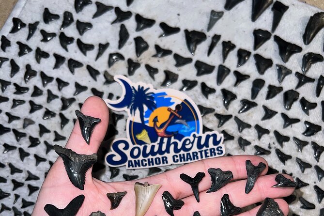 Charleston Shark Tooth and Fossil Searching Island Drop off - Inclusions and Amenities