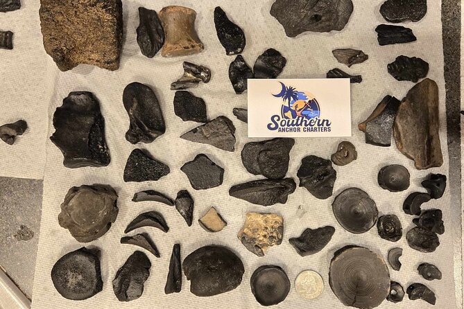 Charleston Shark Tooth and Fossil Searching Island Drop off - Pricing and Cancellation Policy