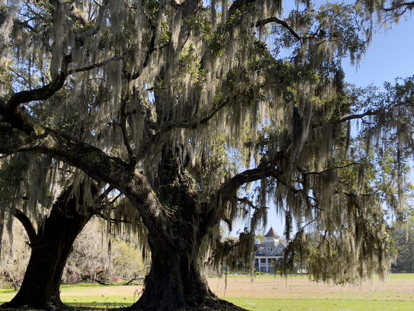 Charleston: The Complete Lowcountry Tour. Get Out of Town! - Discovering Charlestons Hidden Gems