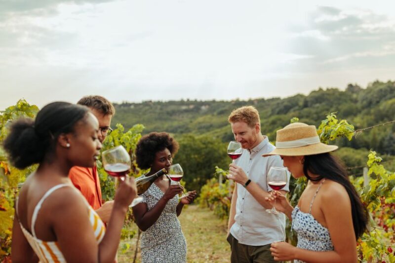 Charleston: Wadmalaw Island Wine Tasting and Tea Garden Trip - What to Expect from the Experience