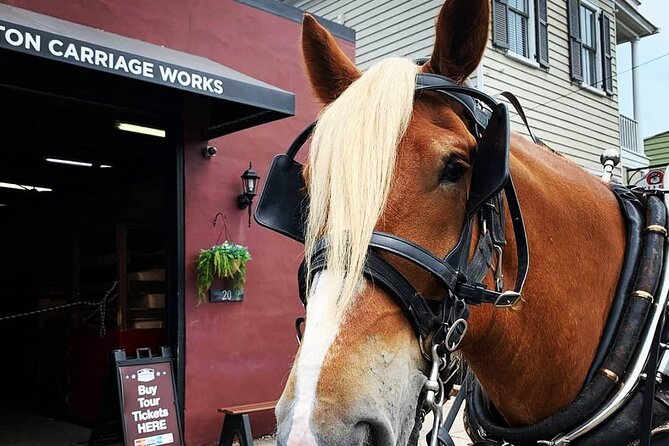 Charlestons Historic Residential Horse and Carriage Tour - Directions