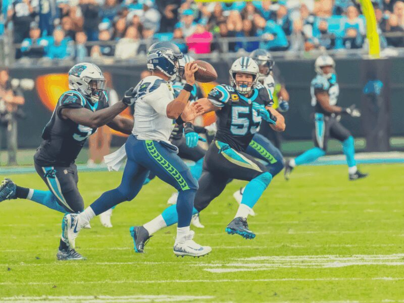 Charlotte: Panthers Football Game at Bank of America Stadium - Who Will Love This Experience?