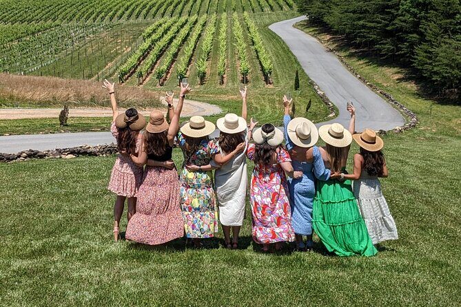 Charlotte Wine Tours Explore Yadkin Valley Vineyards - Key Points