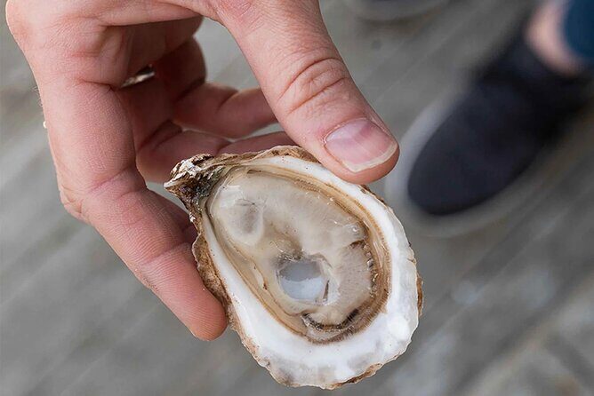 Charlottetown Food Walking Tour - The Sum Up: Is This Tour Worth It?