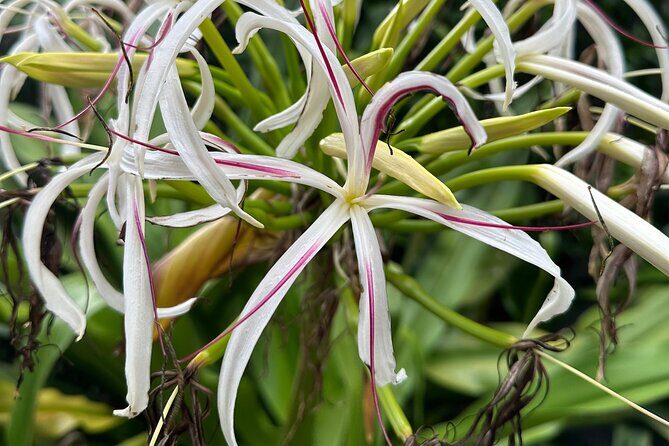 Chase Waterfalls - Discover a hidden 180ft rainforest gem - Final Thoughts