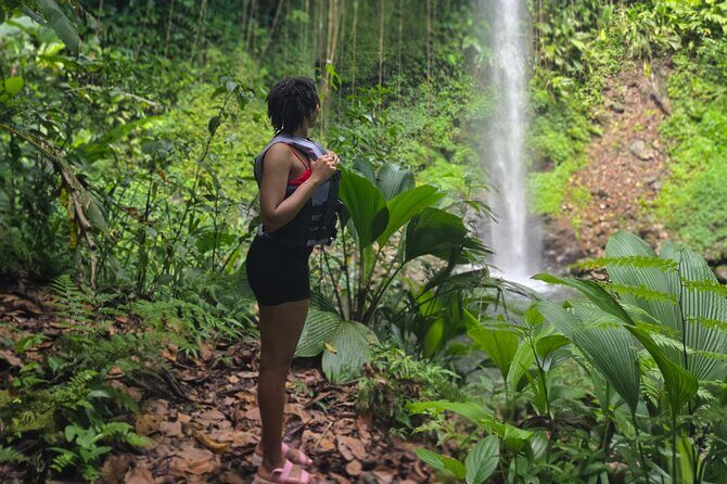 Chasing Waterfalls Dominica - Frequently Asked Questions