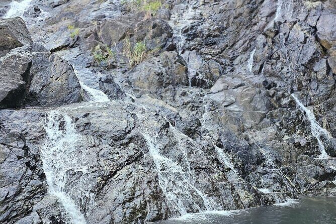 Chasing Waterfalls Experience in Tobago - An Honest Look at the Chasing Waterfalls Experience in Tobago