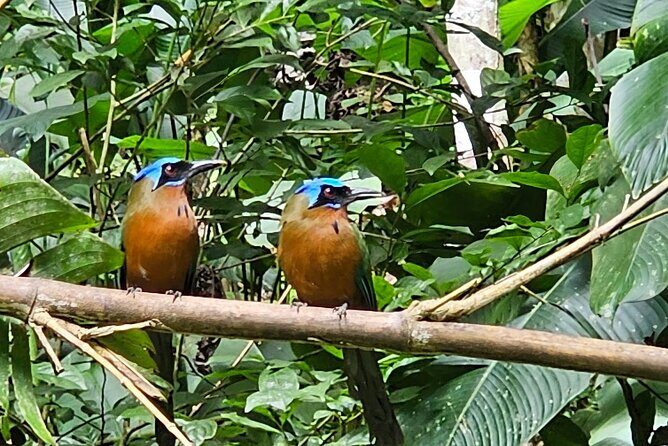 Chasing Waterfalls Experience in Tobago - The Sum Up: Is It Worth It?