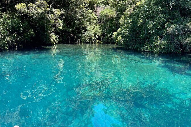 Chasing Waterfalls The Adventurer from Kinloch Marina - The Sum Up: Who Will Love This Tour?