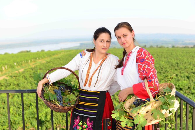 Chateau Burgozone Wine Tasting and Enchanting Danube River View - Accessibility Features