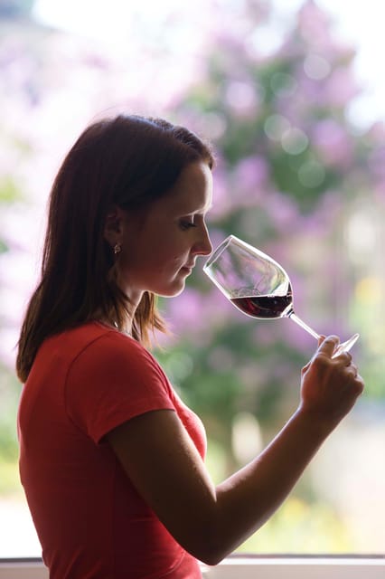 Château Olivier: One Hour Vineyard Tour With Wine Tasting - Key Points