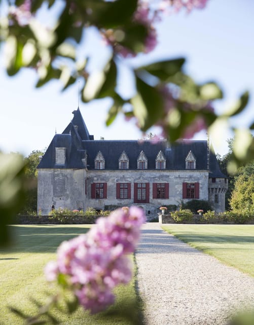Château Olivier: One Hour Vineyard Tour With Wine Tasting - Vineyard Diversity and Sustainability