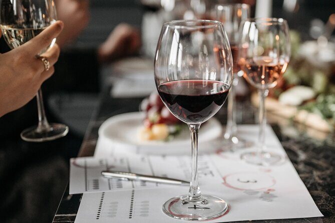 Chateauneuf du Pape and Luberon vineyard tour from Avignon - An In-depth Look at the Tour Itinerary and Experience