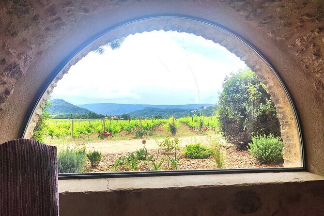 Chateauneuf du Pape and Luberon vineyard tour from Avignon - Final Thoughts