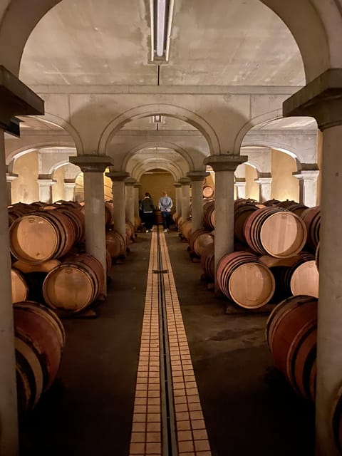 Châteauneuf-Du-Pape: Full-Day Wine Tour With Sommelier - Châteauneuf-du-Pape Vineyards