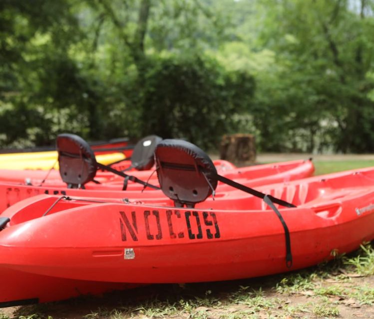 Chattahoochee Roswell: Single Kayak Rental - Activity Highlights