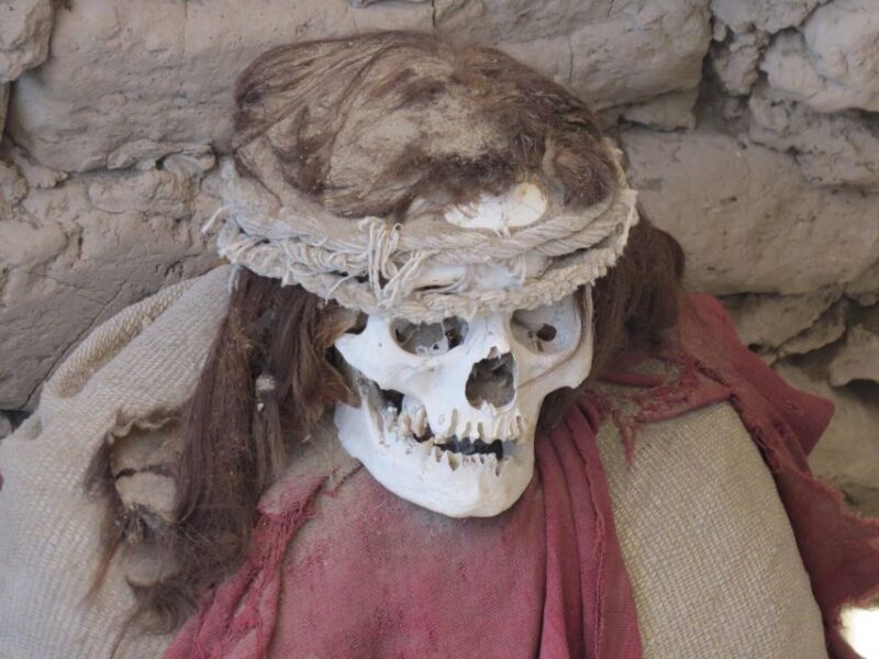 Chauchilla Cemetery - Tour Pricing and Options
