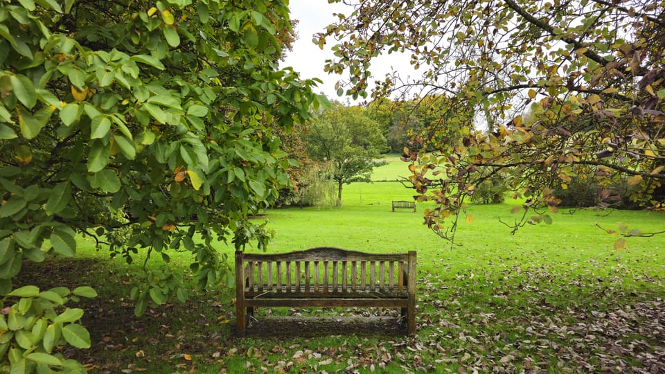 Chawton: village tour to discover its ties to Jane Austen - What the Tour Offers: A Closer Look