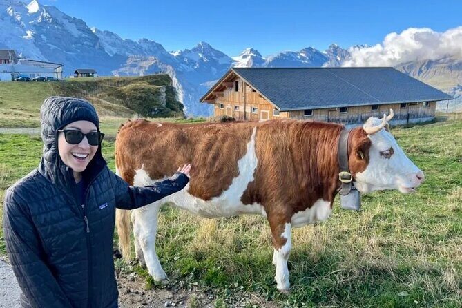 Cheese and chocolate on mountain summit - Frequently Asked Questions