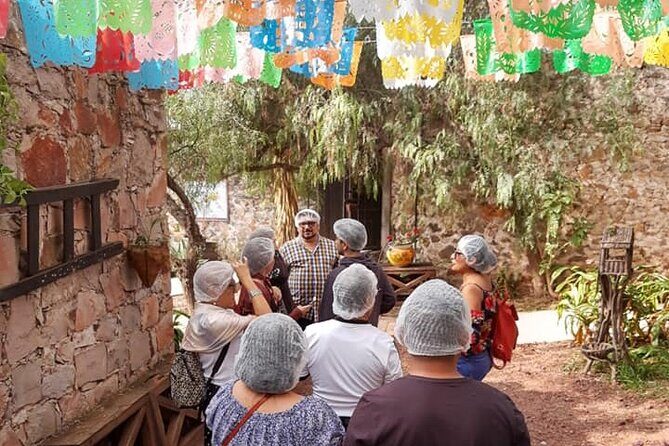 Cheese and Wine Route, Private Tour from Mexico City - Insights from Other Travelers