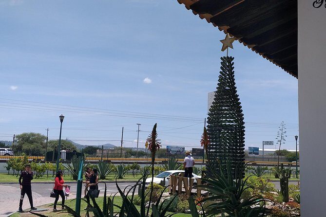 Cheese and Wine Route, Private Tour from Mexico City - FAQs