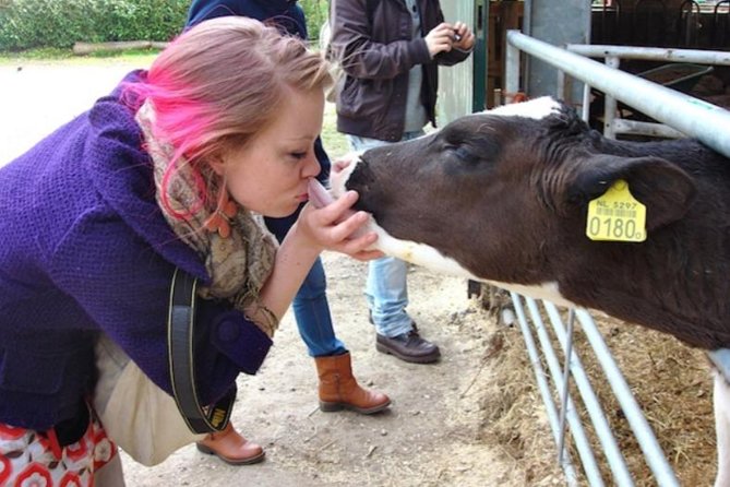 Cheese, Canals & Windmill Countryside E-Bike Tour Amsterdam - Cancellation Policy