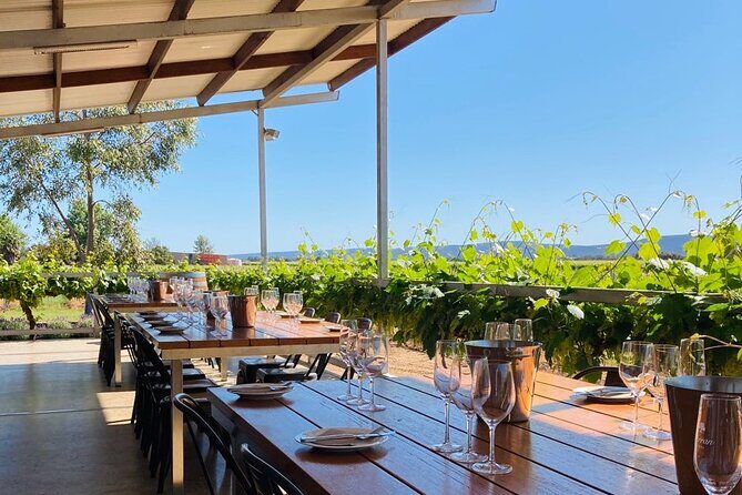 Cheese + Chill - Authentic Insights from Visitors