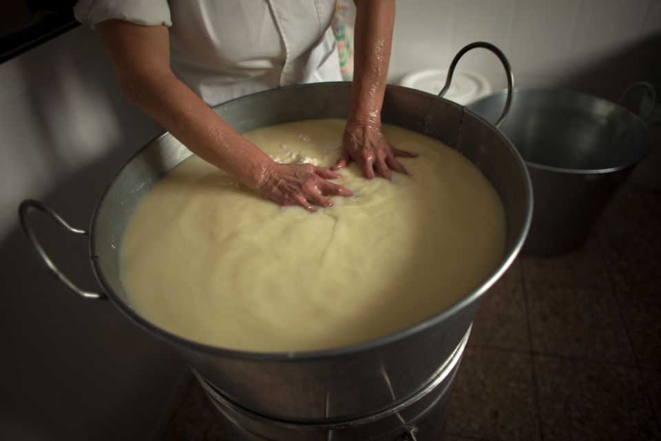 Cheese Making and Tasting Tour From Cagliari With Lunch - Activity Highlights