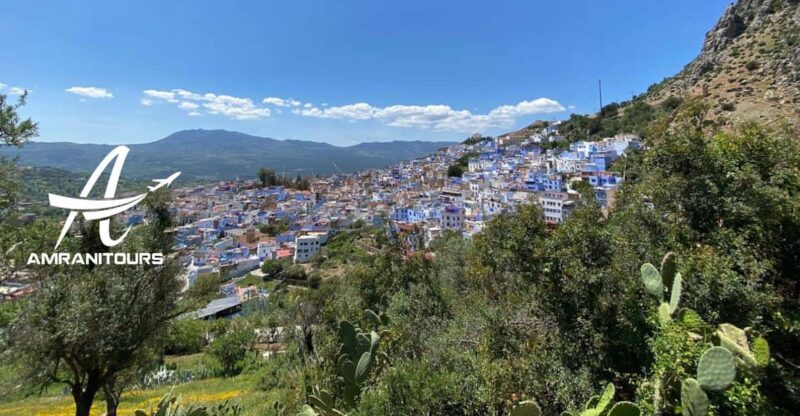 Chefchaouen Day Tour From Tangier - Itinerary Highlights