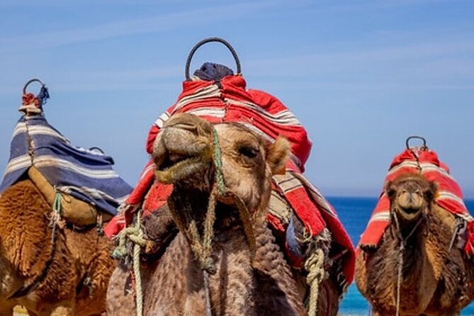 Chefchaouen Day Trip From Seville - Pickup Information