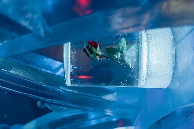 Chena Hot Spring Day Tour - Key Points