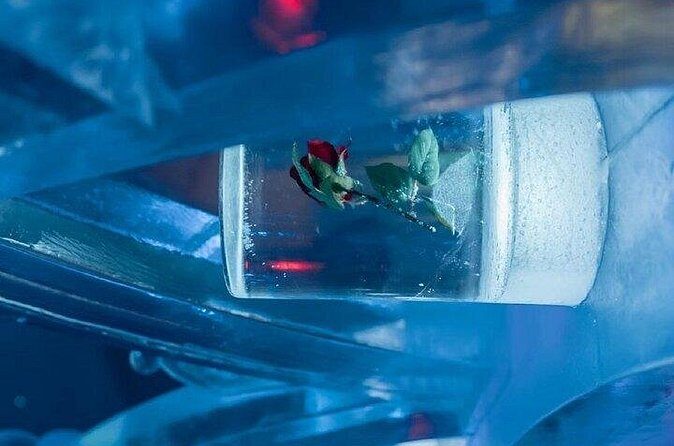 Chena Hot Spring Day Tour - FAQ About the Chena Hot Spring Day Tour