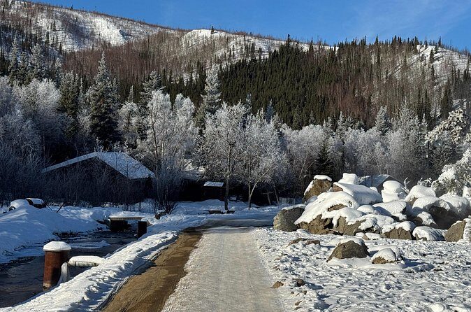 Chena Hot Springs Small Group Tour - What Past Travelers Say