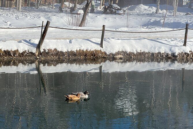 Chena Hot Springs Small Group Tour - The Sum Up: Who Should Consider This Tour?