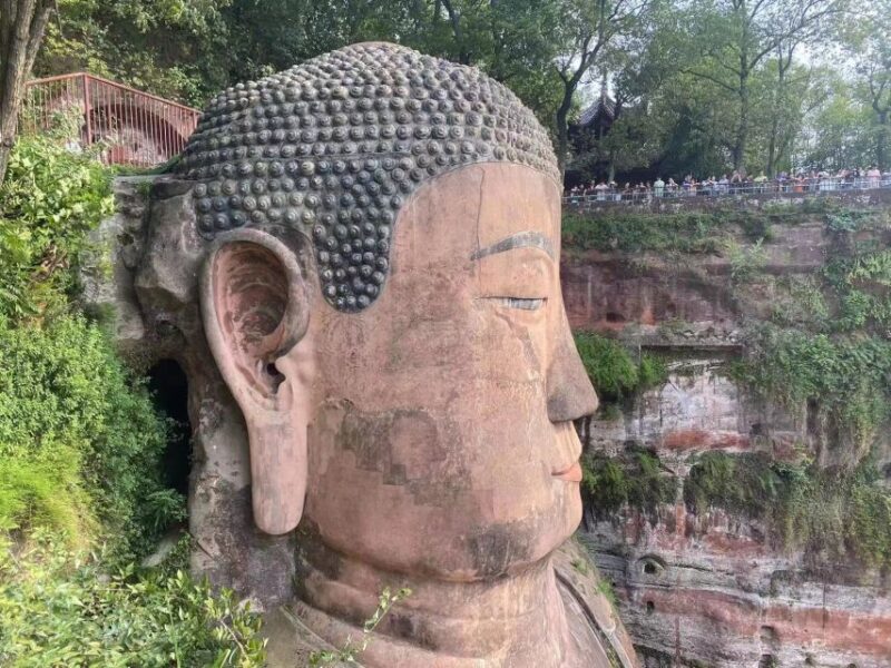 Chengdu: Chengdu Day Trip With Giant Panda and Leshan Buddha - Leshan Grand Buddha Scenic Area