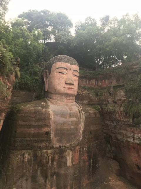 Chengdu: Chengdu Day Trip With Giant Panda and Leshan Buddha - Highlights of the Tour