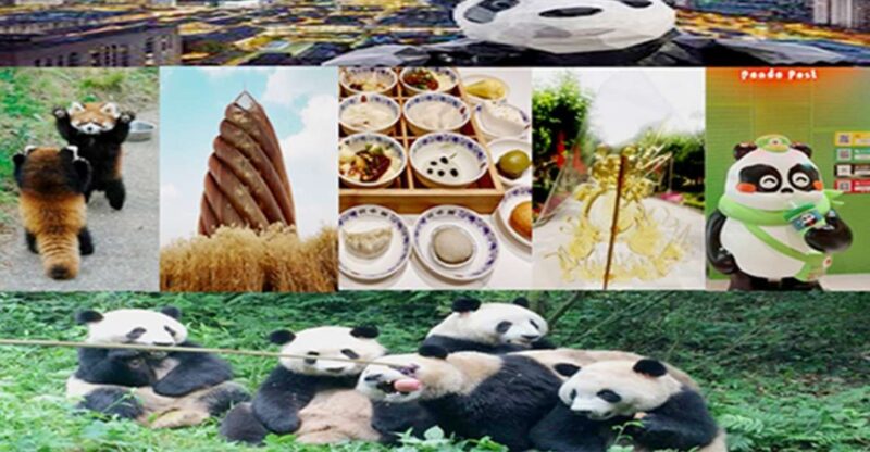 Chengdu Downtown Essences Private Day Tour - Inclusions and Exclusions