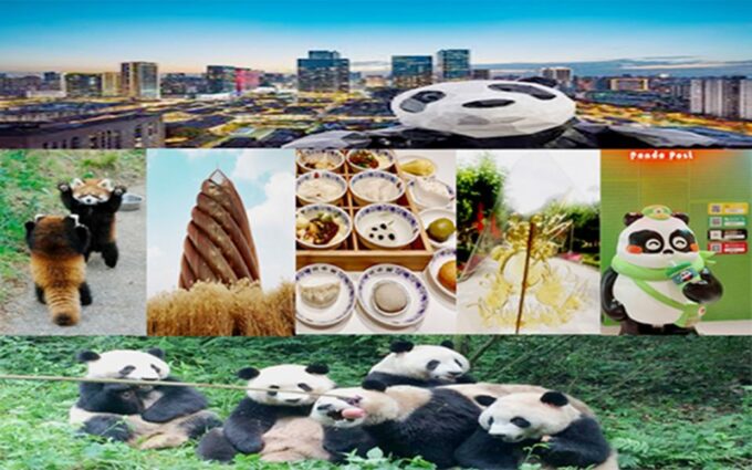Chengdu Downtown Essences Private Day Tour - Customer Feedback
